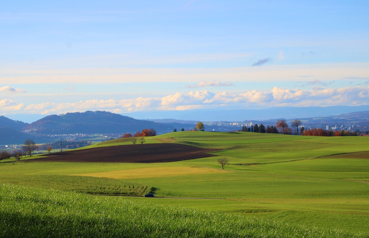 grassland, fields, rural-7616694.jpg